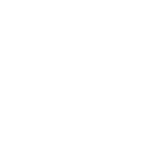 Termivo Markenlogo